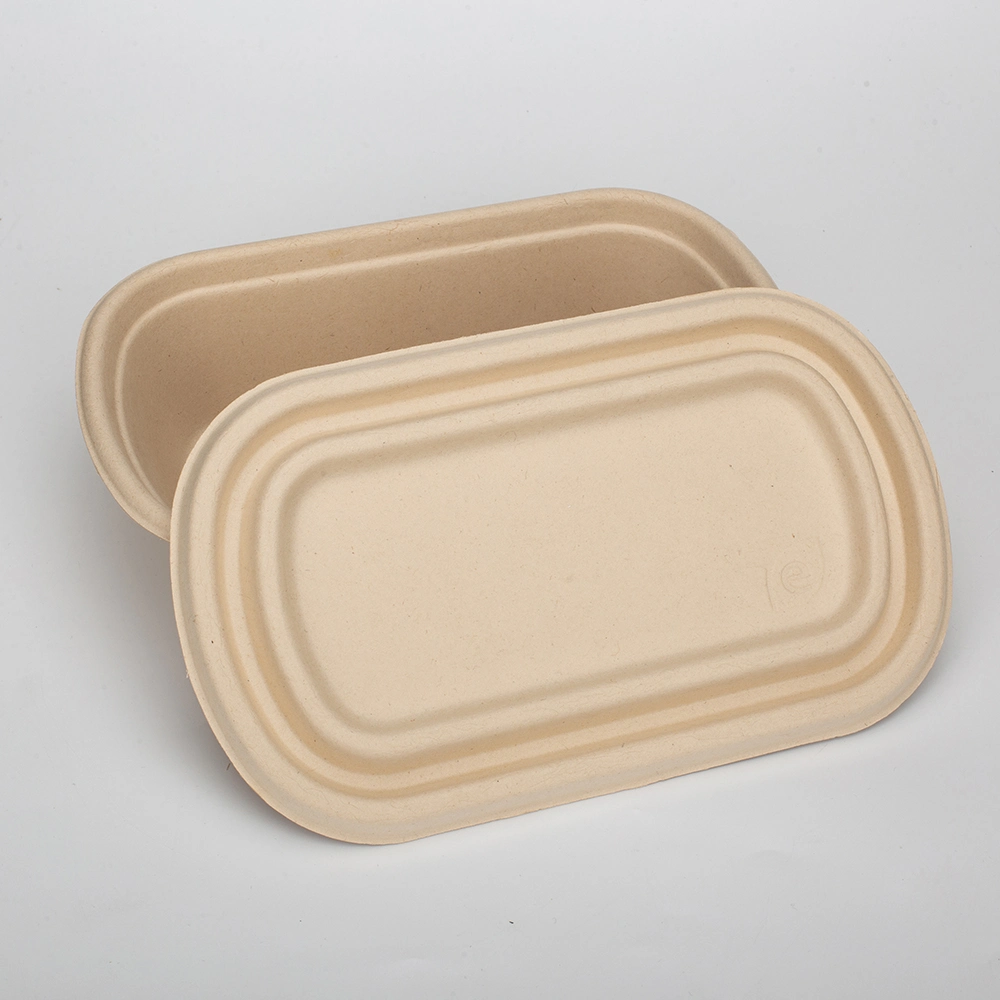 Biodegradable Disposable Sugarcane Bagasse Food Container Restaurant Food Take Away Lunch Box with Lid