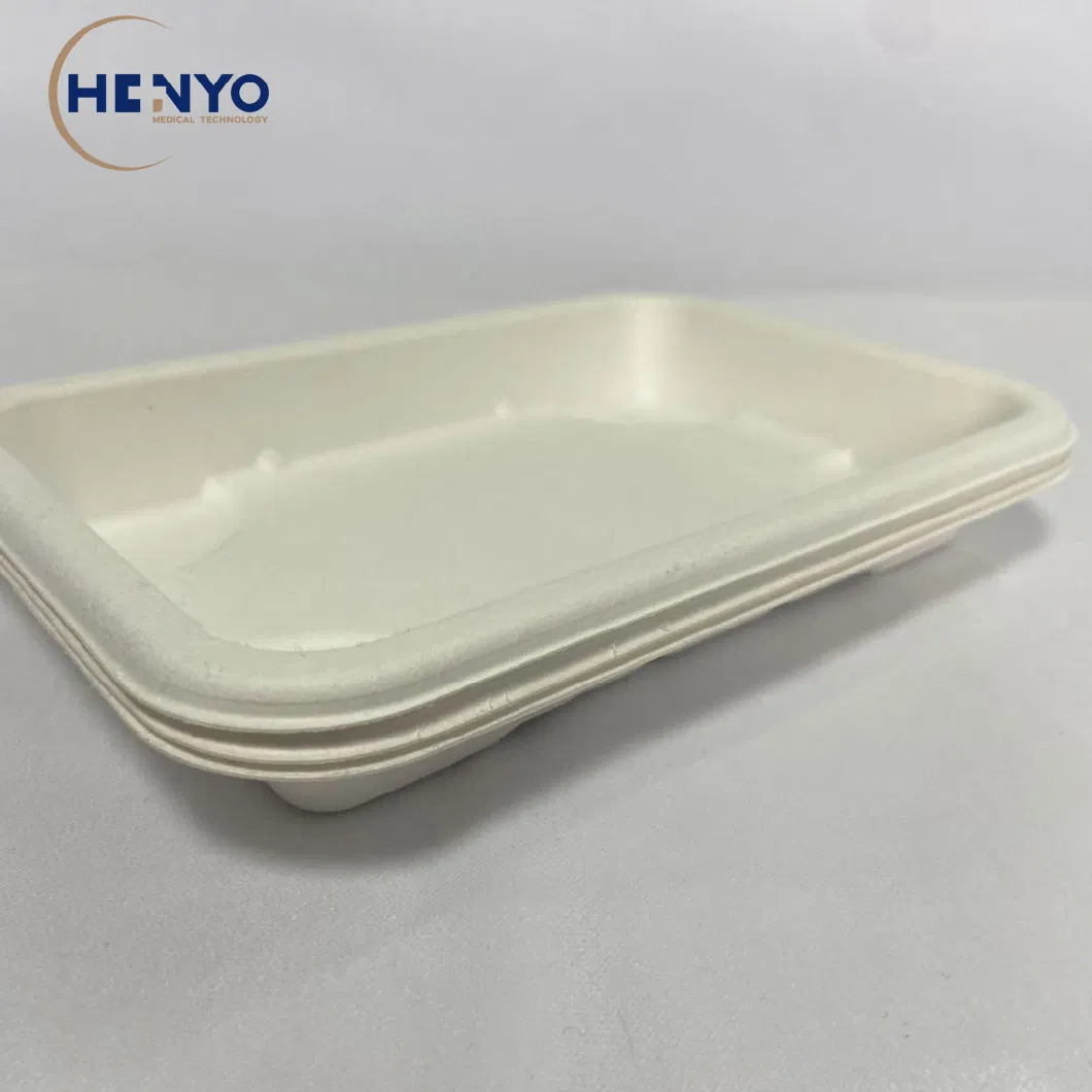 Biodegradable Disposable Sugarcane Bagasse 290ml Lunch Box Lunch Tray