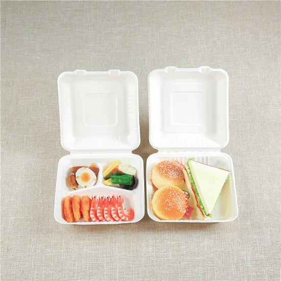 Biodegradable Disposable Food Container Wholesale Cornstarch Surgarcane Bagasse Pulp Clamshell with Lid Restaurant Meal Prep to Go Compostable Lunch Take Away