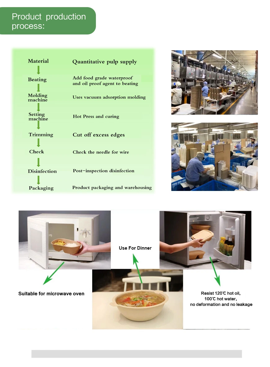 Biodegradable Disposable Packaging Take out Container Sugarcane Bagasse Food Lunch Box with Lid