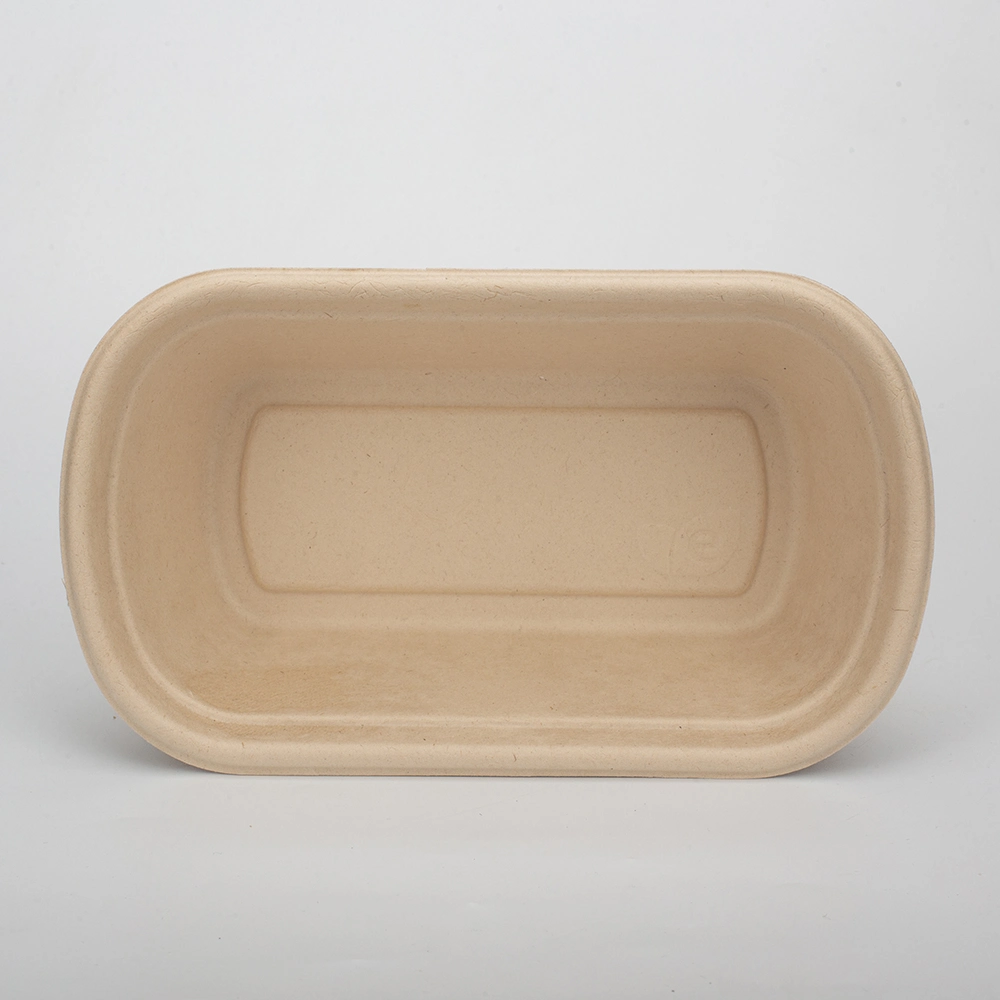 Biodegradable Disposable Sugarcane Bagasse Food Container Restaurant Food Take Away Lunch Box with Lid