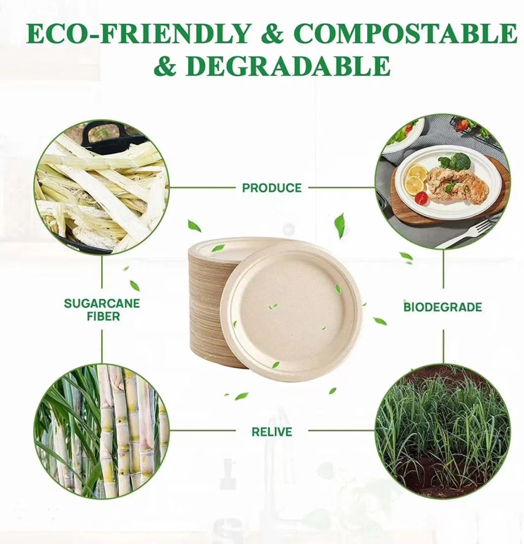 Customizable Bagasse Round Plate with 3 Compartments Biodegradable Material Compostable Tableware Factory Supply