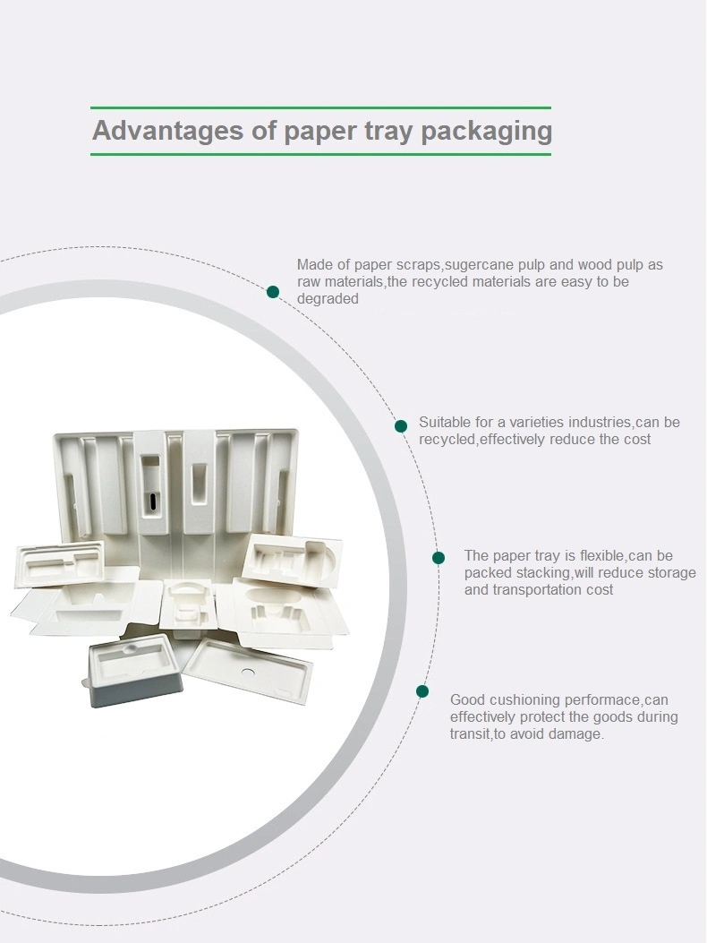 Sugarcane Bagasse Disposable Recyclable Biodegradable Paper Pulp Tray Customized Tray for Transport Protection