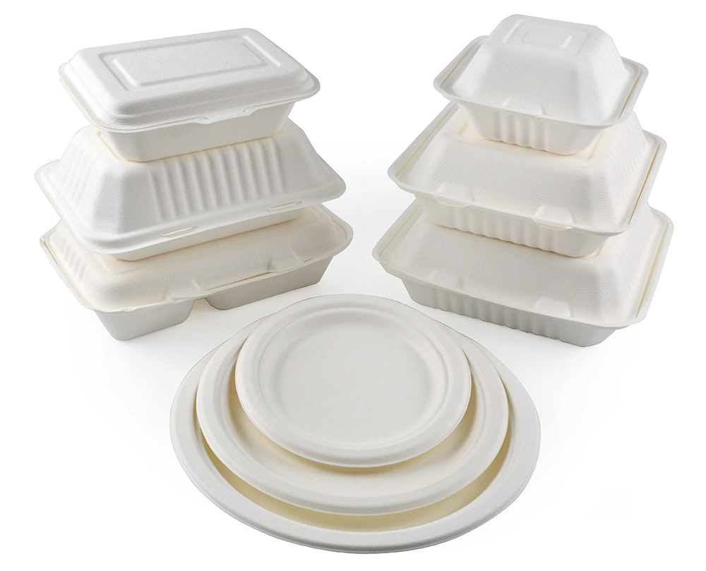 Disposable Biodegradable Sugarcane Bagasse Pulp Food Container Take Away Lunch Box with Lid