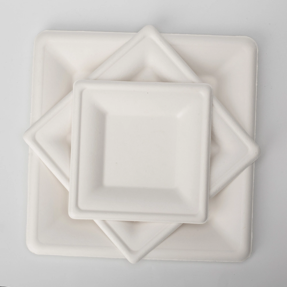 Square Round Oval Dinner Cake Sushi Food Sugarcane Bagasse Biodegradable Compostable Disposable Paper Plates