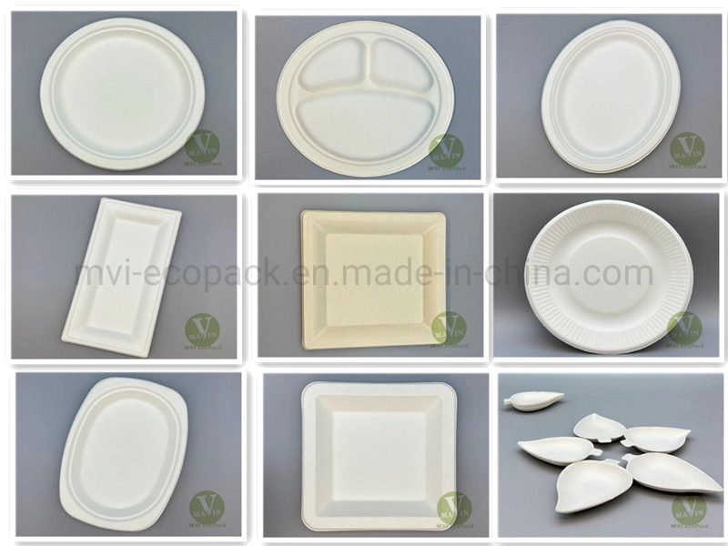 Biodegradable Disposable 9.5" Sugarcane Bagasse Round Plate