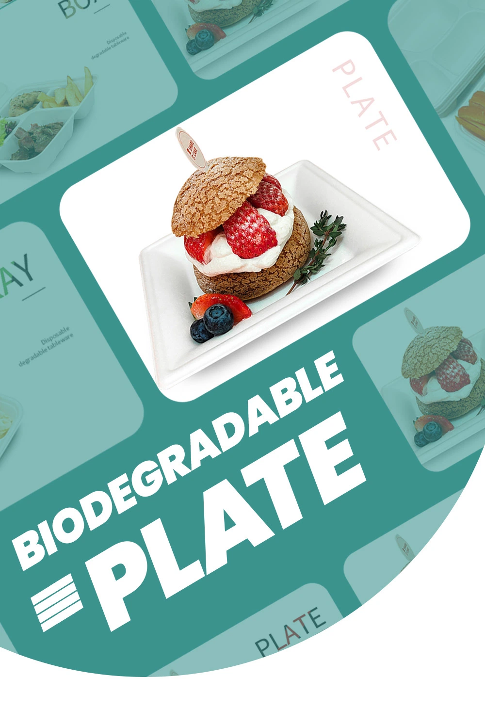 10% off Biodegradable Sugarcane Bagasse Round Plate Disposable Microwavable Lunch Plates