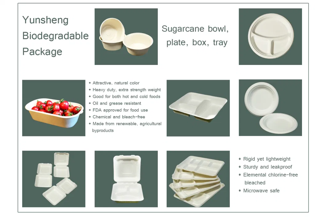 Eco Friendly Disposable Tableware 17 Oz 30 Oz 27oz Biodegradable Plates and Bowls Made in Sugarcane Bagasse