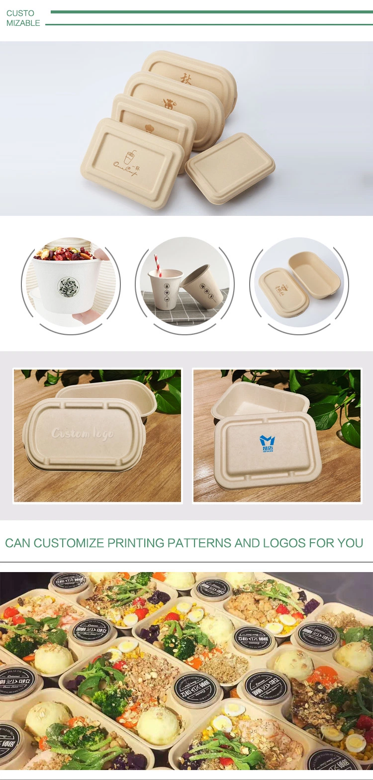 Disposable Biodegradable Compostable Sugarcane Bagasse Hamburger Box Pfas Free