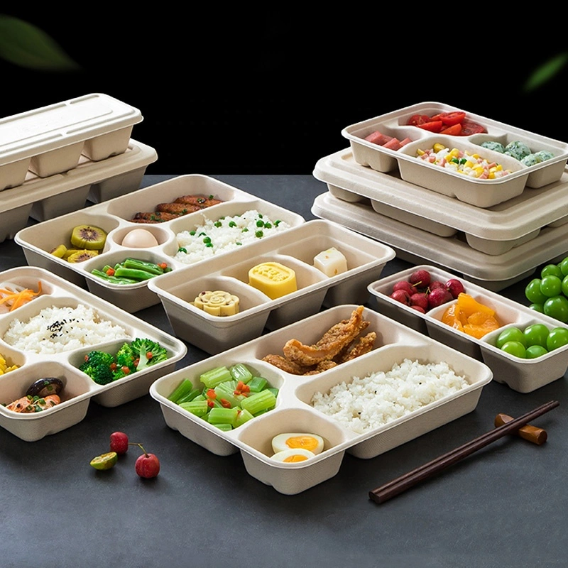 5 Compartments Lunch Tray Fast Food ODM Paper Disposable 100% Biodegradable Bagasse Pulp Pfas Free