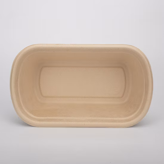 일회용 생분해성/친환경