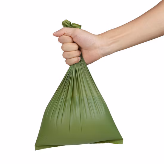 에코