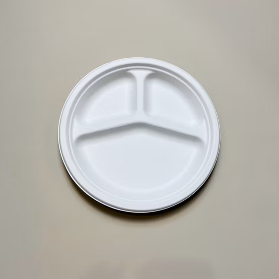 생분해성 사탕수수 사탕수수 식기류 접시 운반