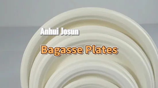 안후이 조선 Bagasse 식품 용기 일회용 BPS